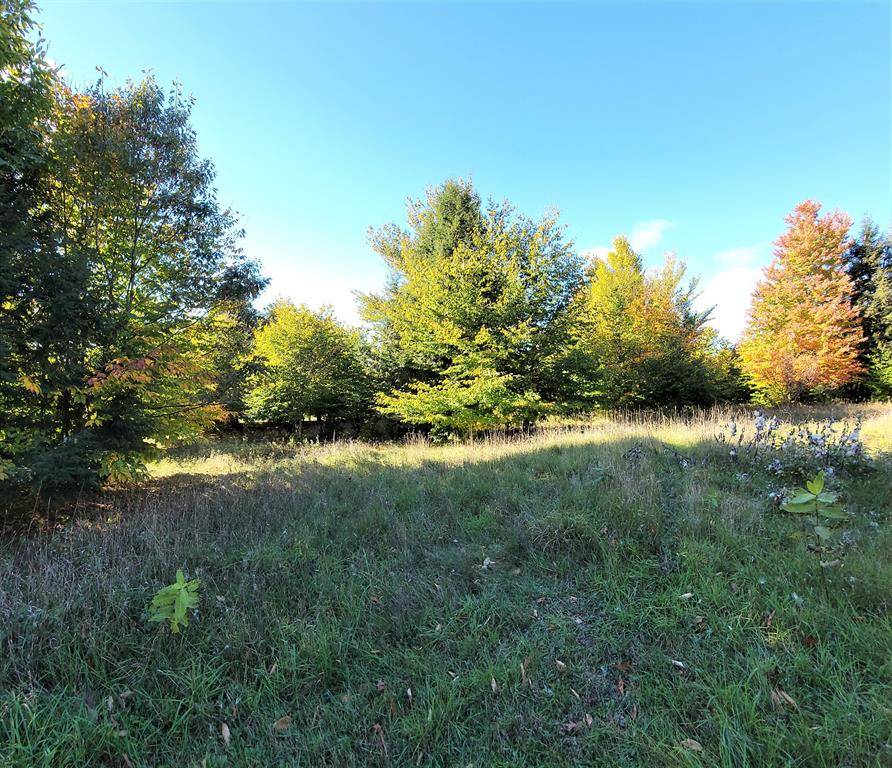 Onekama Twp, MI 49675,North Slope Drive Lot 114