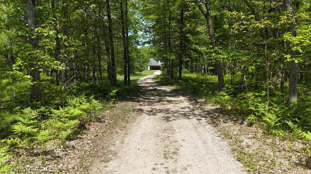 Stronach Twp, MI 49660,626 Skocelas Road N