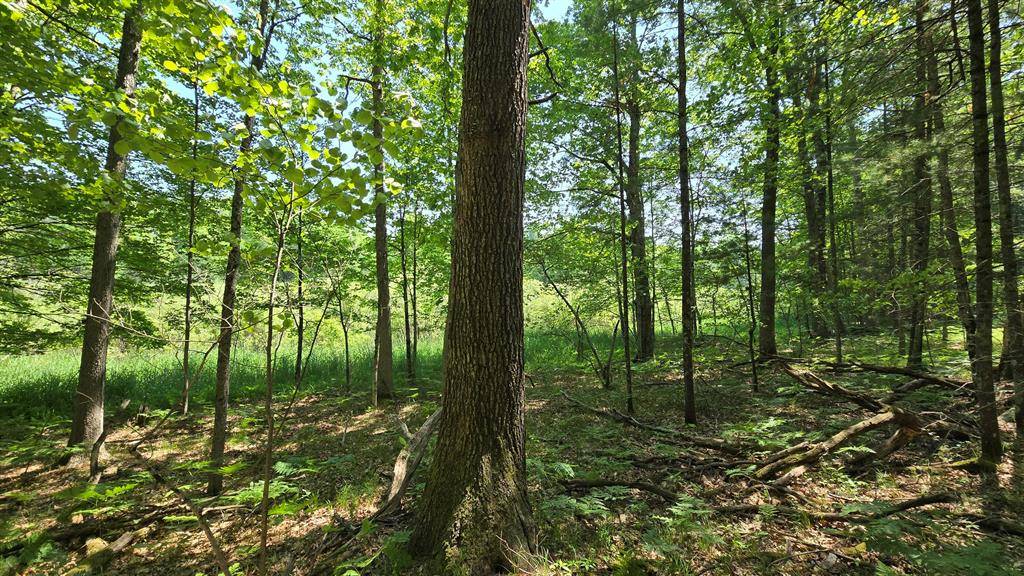 Dickson Twp, MI 49619,Coates Highway