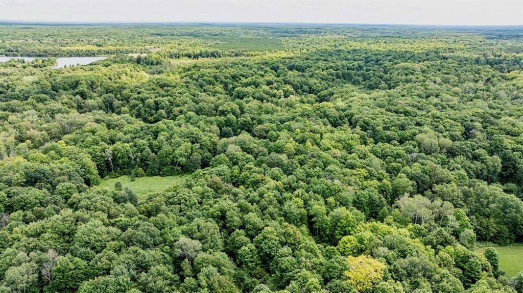 Colfax Twp, MI 49459,8668 N Anne Dr