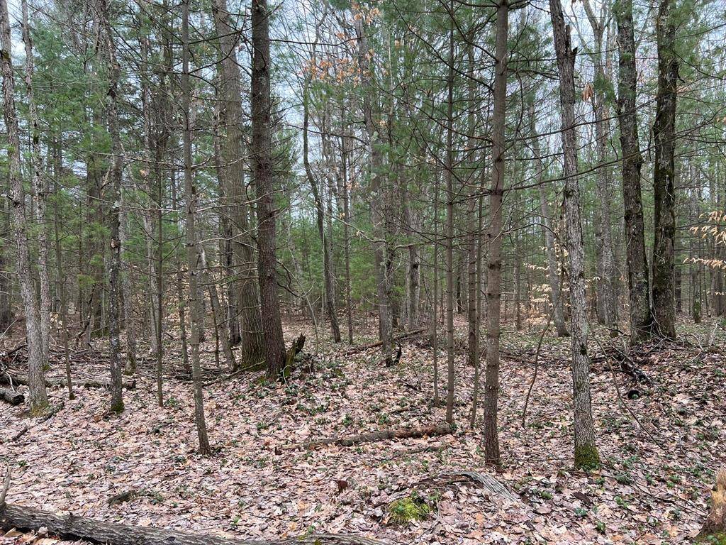 Victory Twp, MI 49411,Cherry Lane