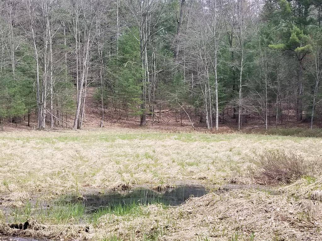Elk Twp, MI 49644,Par 15 W 12 Mile Road
