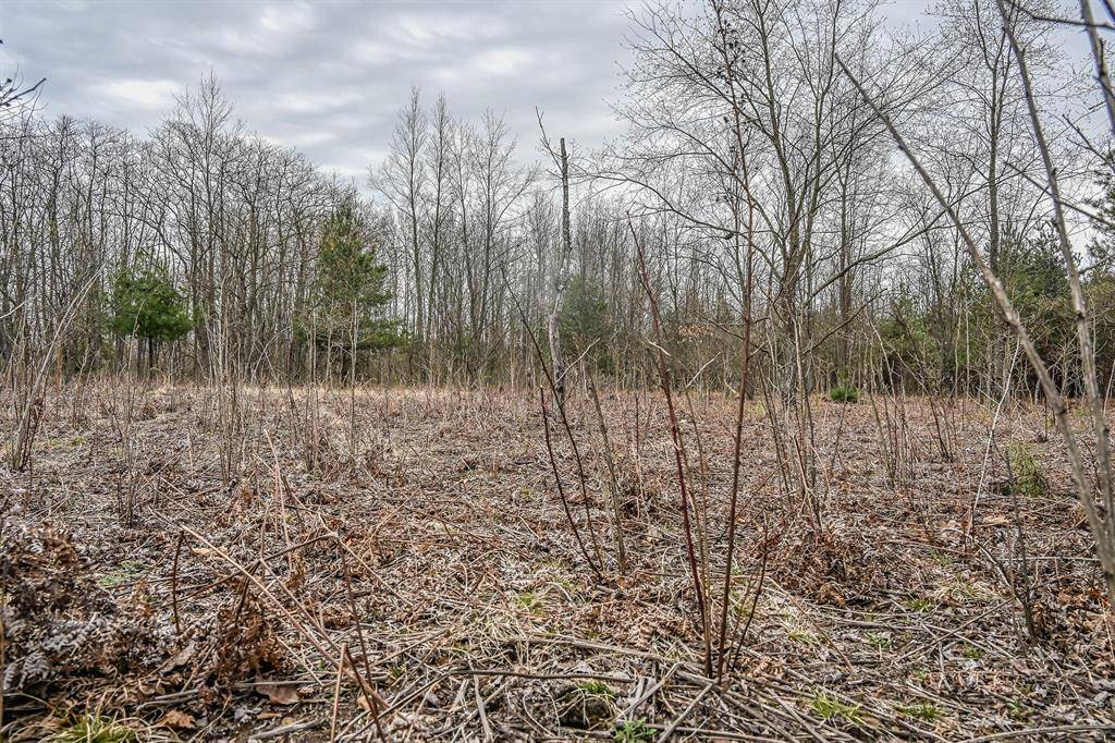 Grant Twp, MI 49452,W Clay Road Modifier: 38.33 Acres