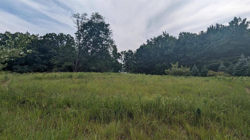 Eden Twp, MI 49405,V/L Meadowview Trail 167