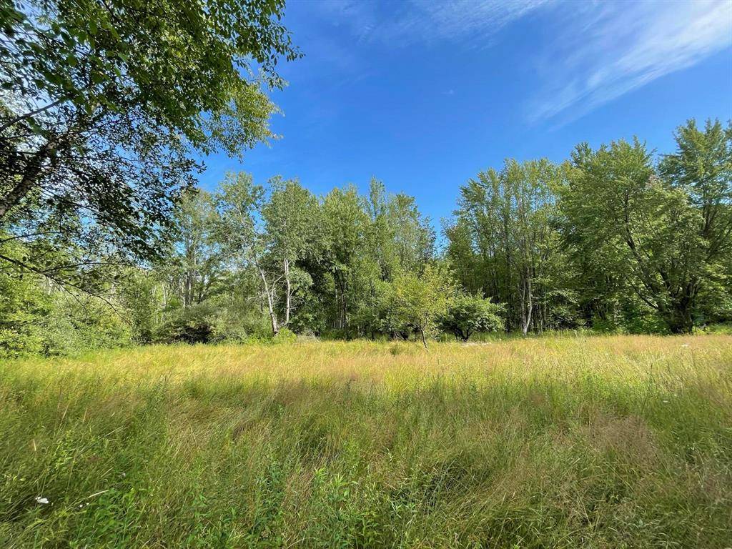 Sherman Twp, MI 49411,1217 E Beyer Road
