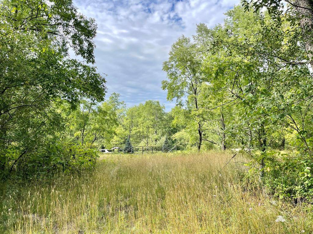 Sherman Twp, MI 49411,1217 E Beyer Road