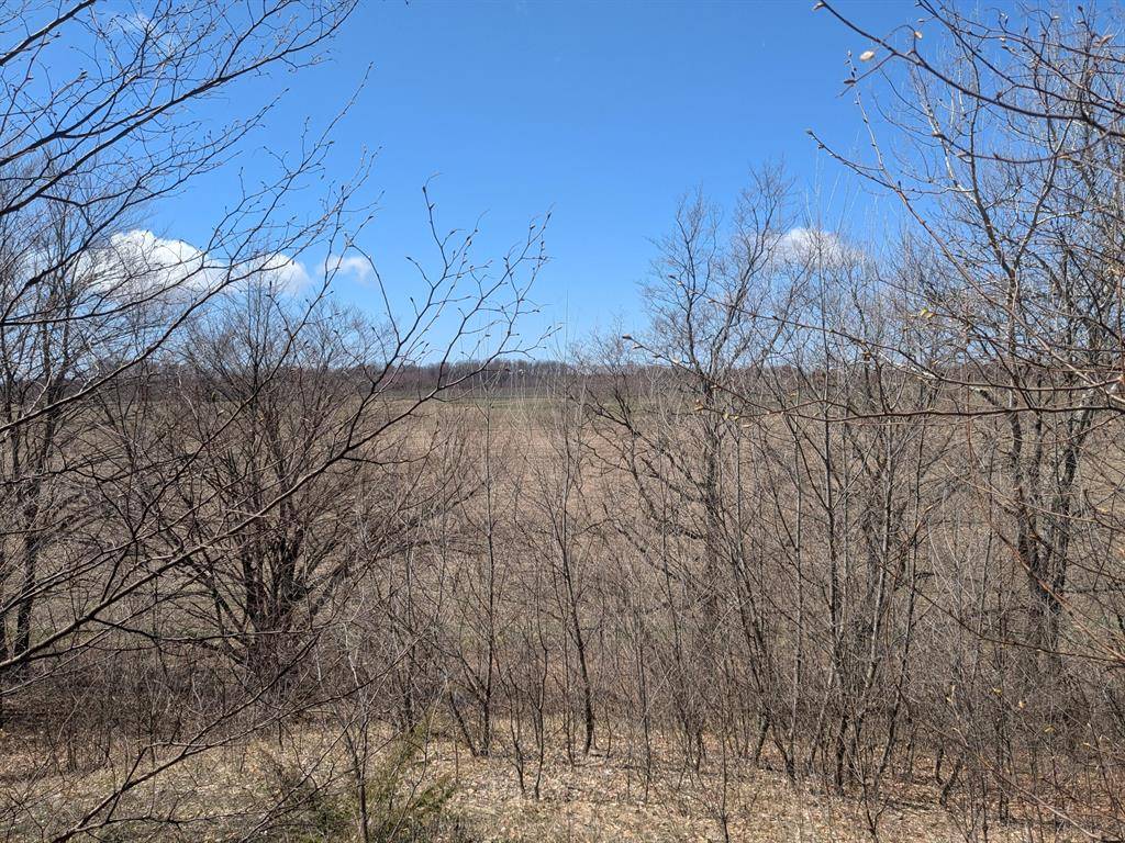 Pleasanton Twp, MI 49614,Butwell  part 2 Road
