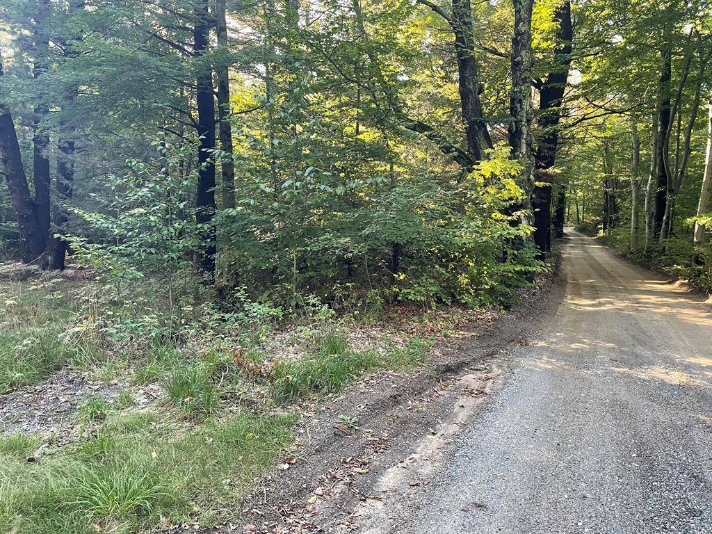 Benona Twp, MI 49455,10445 W Woodrow Road