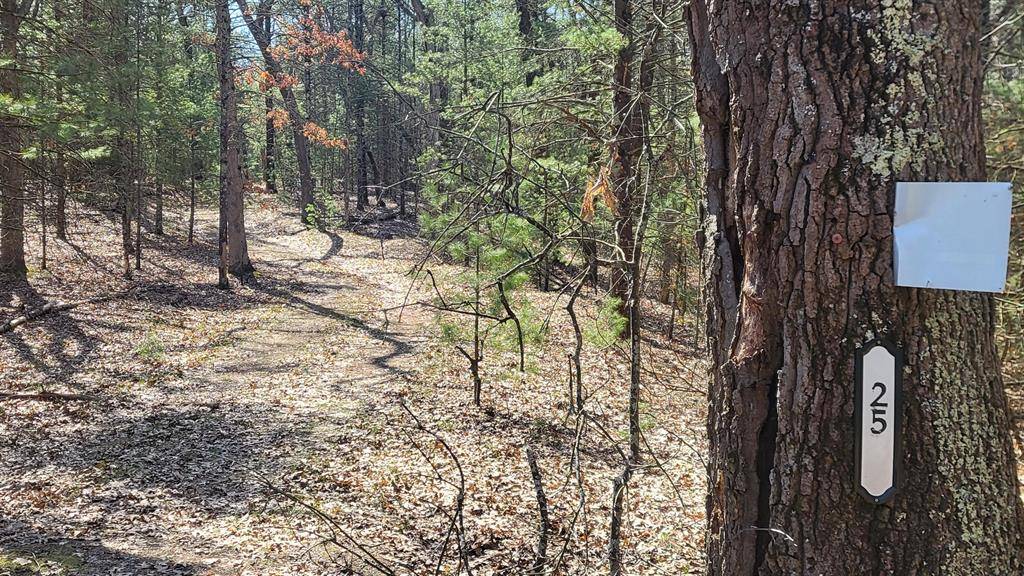 Blue Lake Twp, MI 49461,253 W Crystal Lake Road