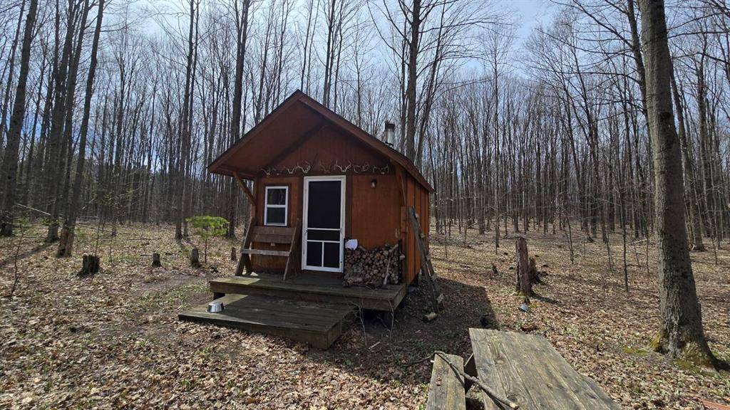 Marilla Twp, MI 49625,Erwin Road