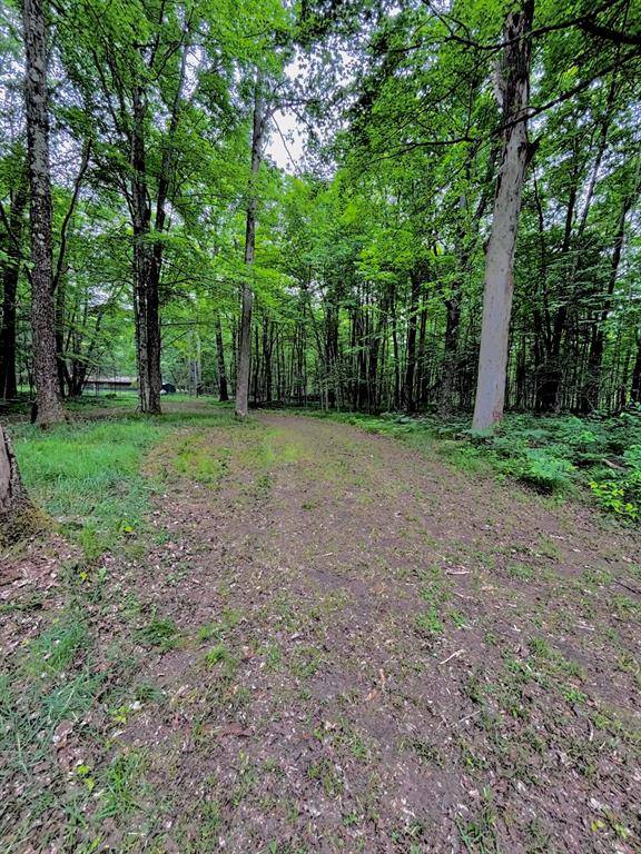 Peacock Twp, MI 49304,1698 W Carnahan Drive