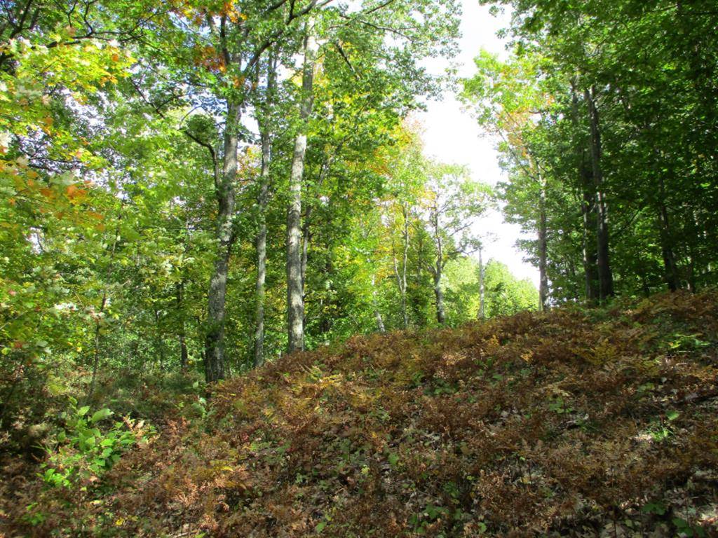 Onekama Twp, MI 49675,M22 Northwood Highway Modifier: 1.73 Acres