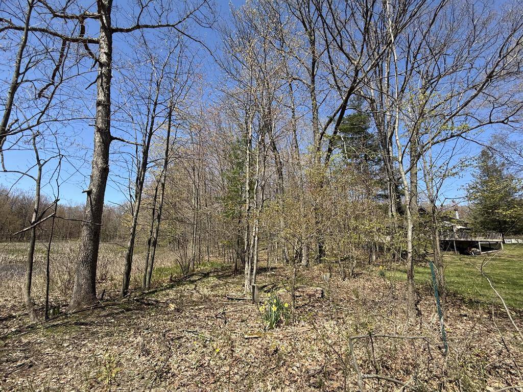 Colfax Twp, MI 49459,E Dennis Drive