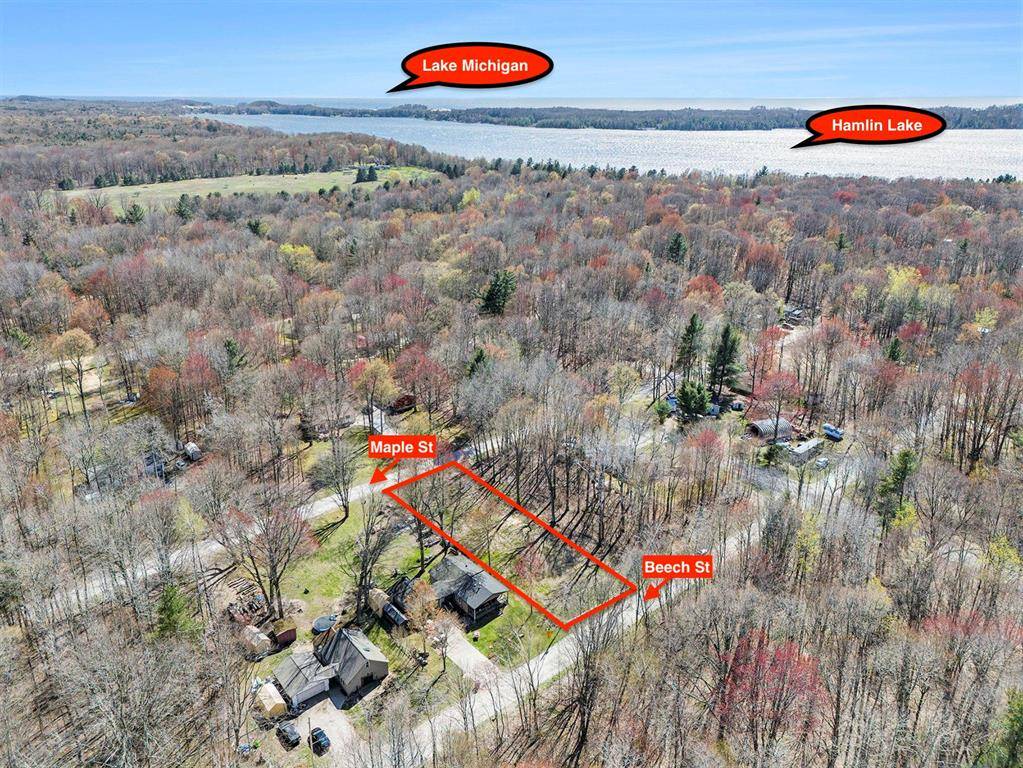 Hamlin Twp, MI 49431,6701 W Beech St