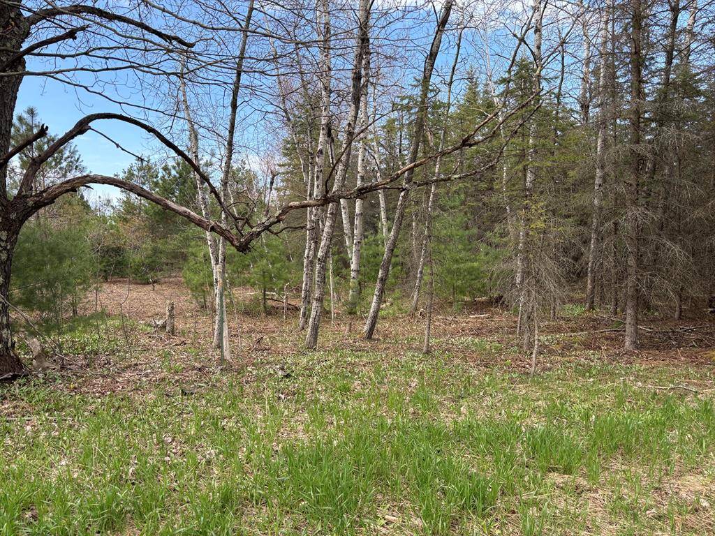 Cleon Twp, MI 49625,001 Adams Road