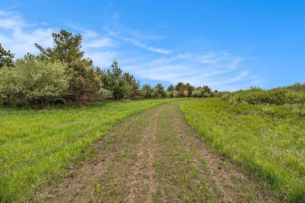 Custer Twp, MI 49405,Reek RD - 29.77 Acres V/L