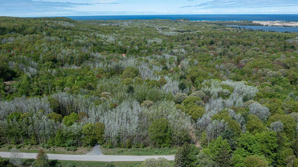 Golden Twp, MI 49436,Parcel G-1 N 28th Avenue
