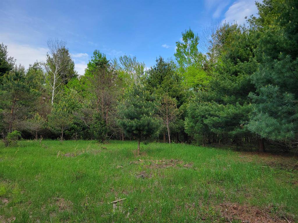 Elbridge Twp, MI 49420,1052 E Clock Road