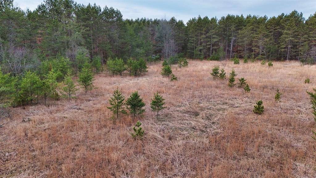 Stronach Twp, MI 49660,3726 N Custer Road