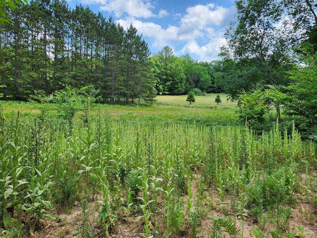 Logan Twp, MI 49405,6389 S Woods Trail Road 143