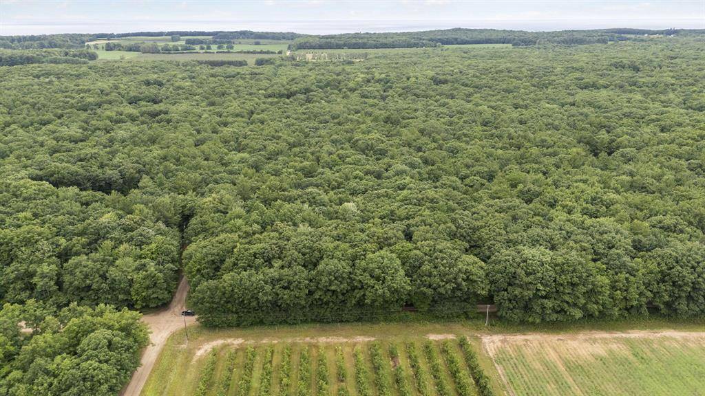 Benona Twp, MI 49455,V/L W Woodrow Road