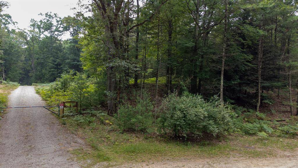 Pentwater Twp, MI 49449,1 Wayne Modifier: VL