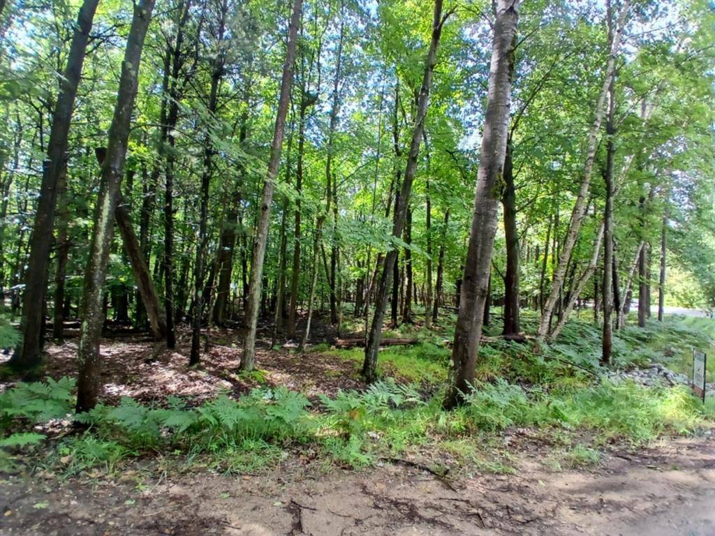 Golden Twp, MI 49436,4756 N Ridge Road