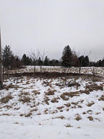 Flowerfield Twp, MI 49093,Johnson Road ; Modifier: Lot 11