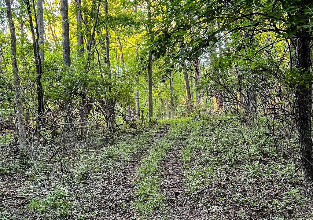 Fabius Twp, MI 49093,Coon Hollow Road
