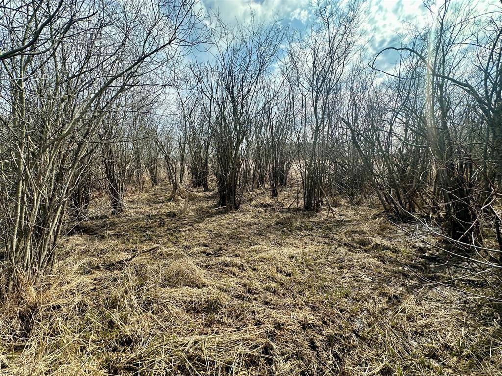 Summit Twp, MI 49203,2300 Brooklyn Road