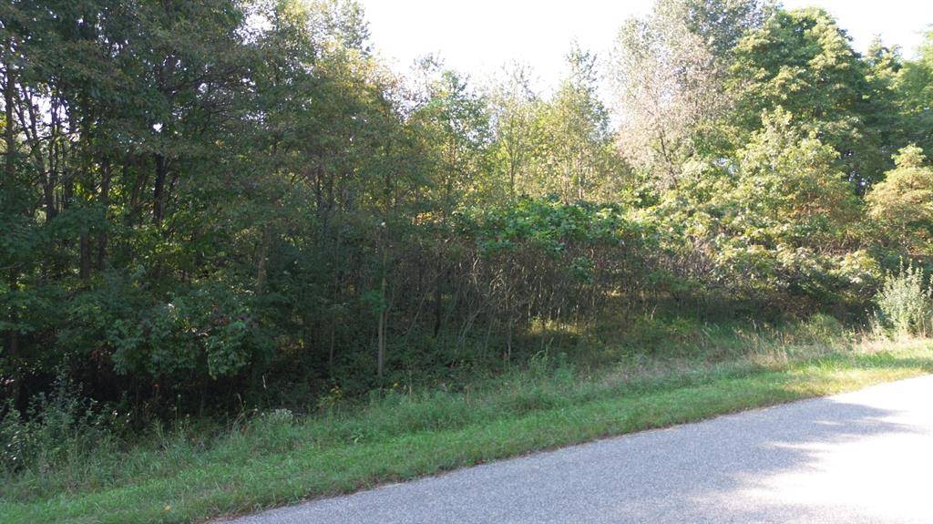 Fabius Twp, MI 49093,LOT 4 Highfield Road