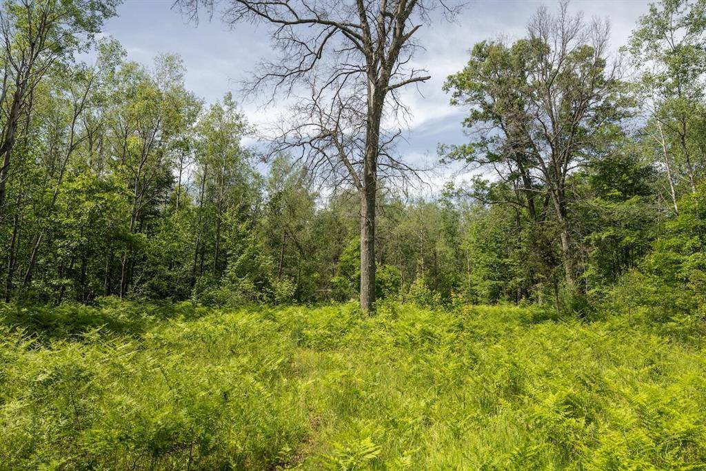 Bitely, MI 49309,00 V/L 13 Mile Rd. Par A
