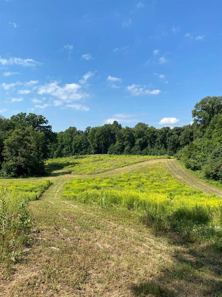 Newberg Twp, MI 49093,V/L Rumsey Road