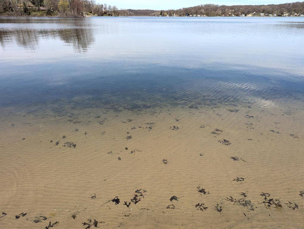 Fabius Twp, MI 49093,11720 Coon Hollow Road