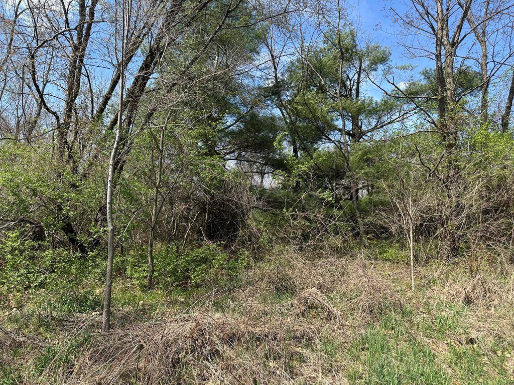 Sherman Twp, MI 49091,VL1 Ottokee Drive