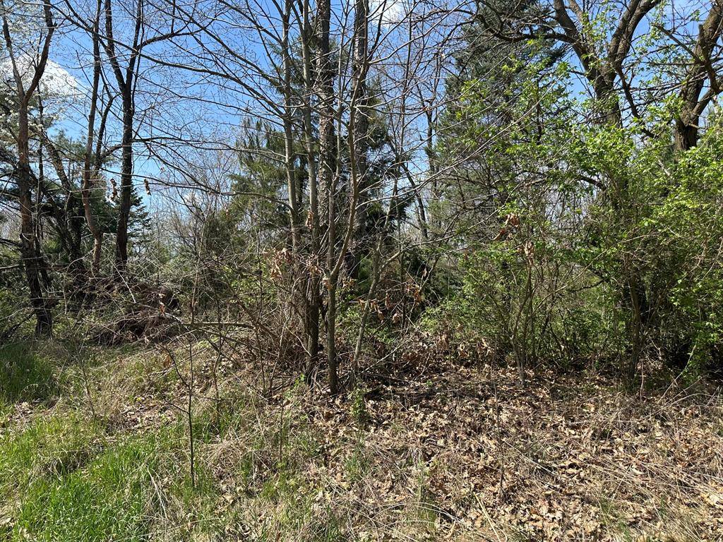 Sherman Twp, MI 49091,VL2 Ottokee Drive