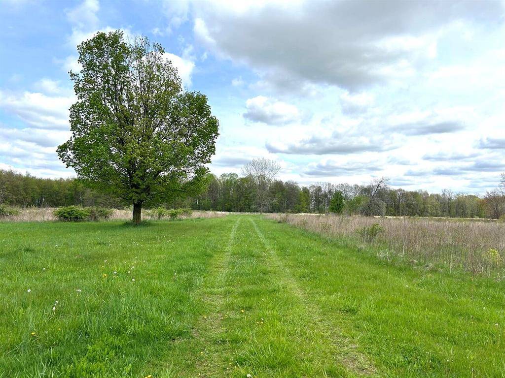 Calvin Twp, MI 49031,66847 Tharp Lake Rd Road