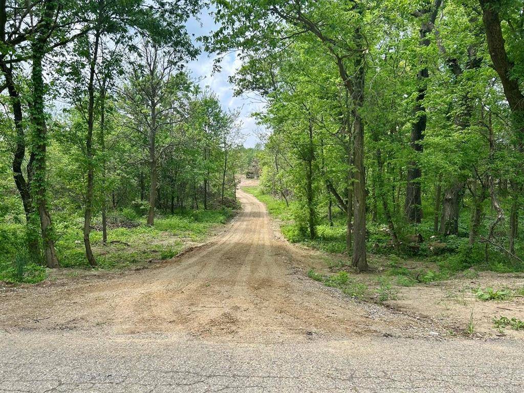 Newberg Twp, MI 49061,2 Acres Bair Lake Street