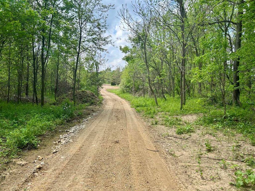 Newberg Twp, MI 49061,2 Acres Bair Lake Street
