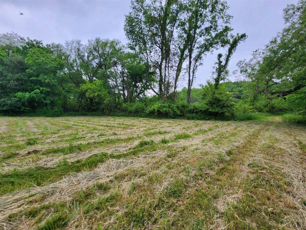 Fabius Twp, MI 49067,Pioneer Street