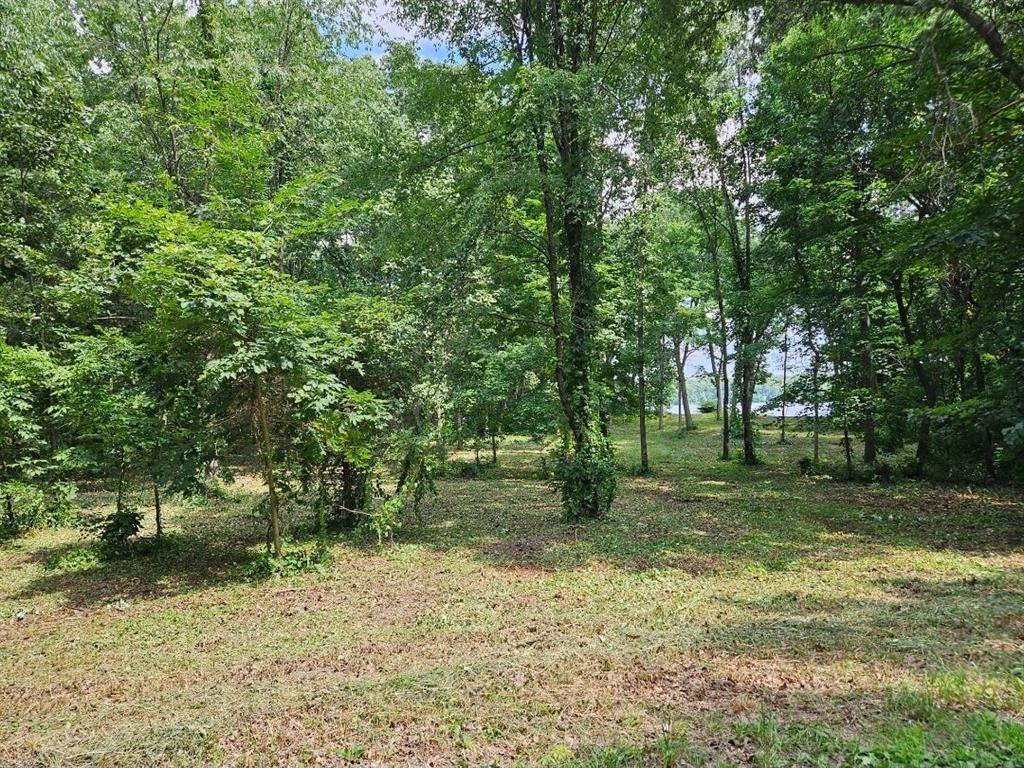 Lockport Twp, MI 49093,23-24 James Drive