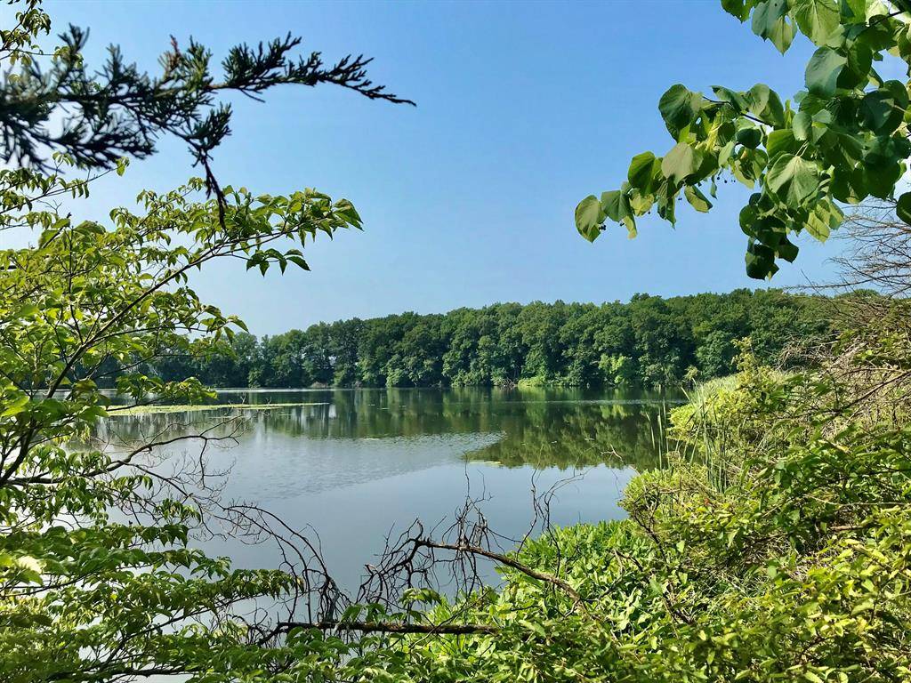 Mendon Twp, MI 49072,000 Wakeman Road