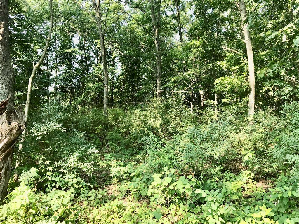 Mendon Twp, MI 49072,000 Wakeman Road