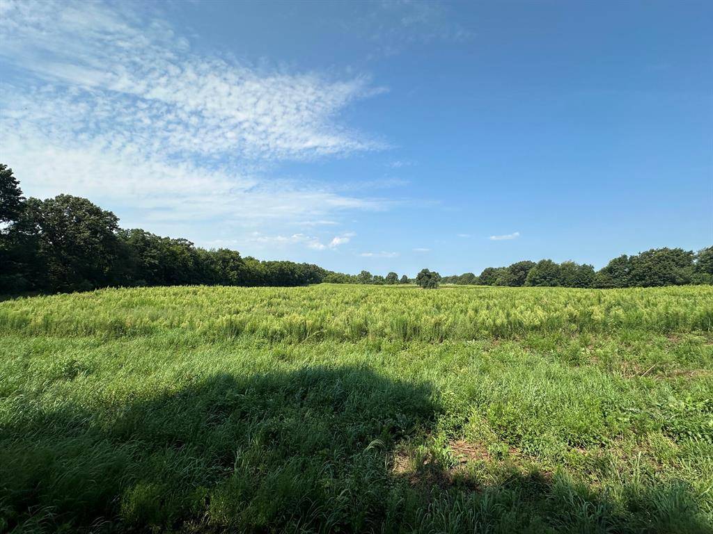 Sherman Twp, MI 49091,V/L Banker Street