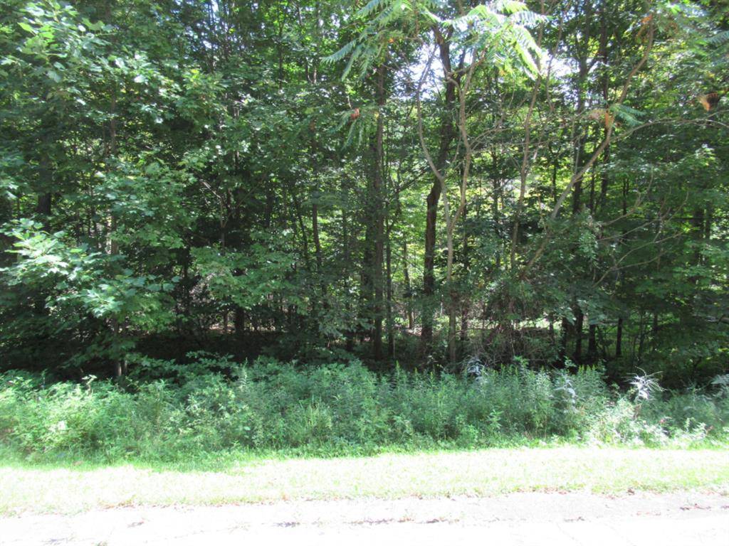 Lagrange Twp, MI 49031,Tract 6 Brookside Court