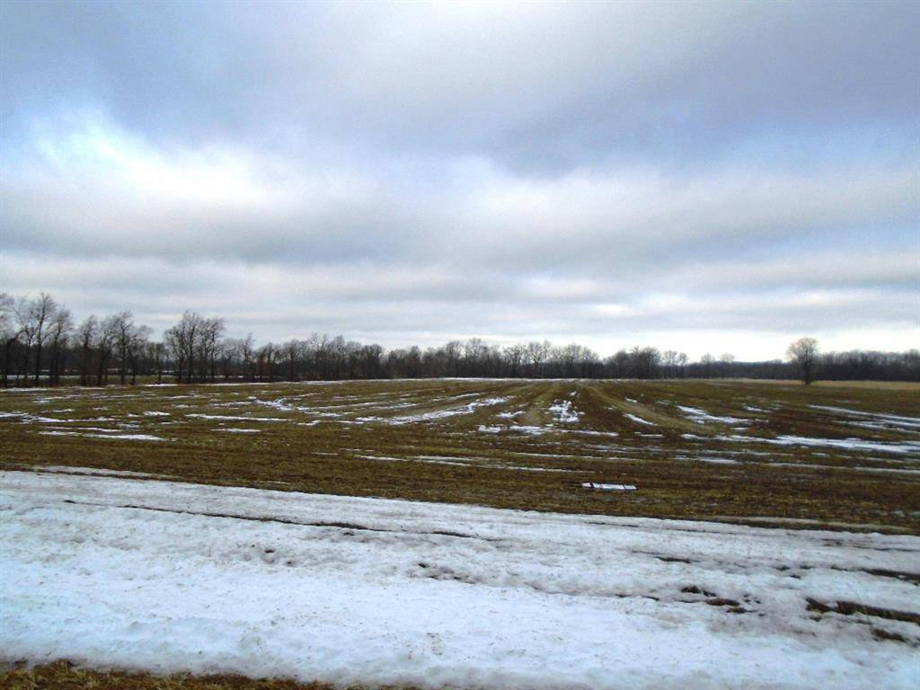 Weesaw Twp, MI 49125,0 Holden Road