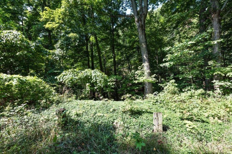 Lake Twp, MI 49106,0 Tower Hill Drive