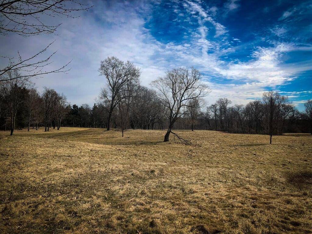 Bertrand Twp, MI 49120,West River Road