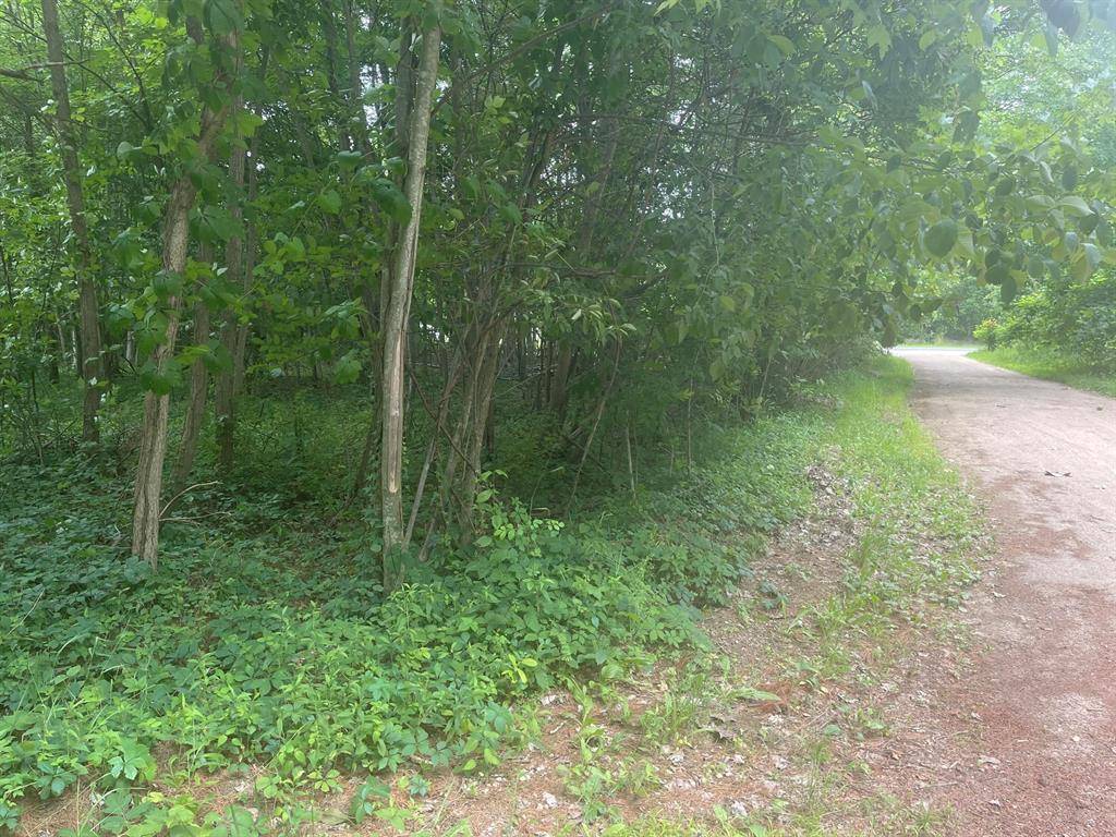 Arlington Twp, MI 49056,VACANT LOT Miami Avenue