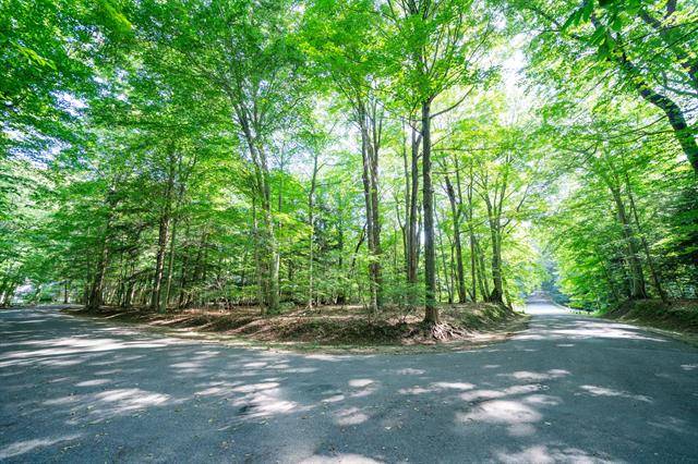 Ganges Twp, MI 49090,VL Sassafras Drive Lot 28